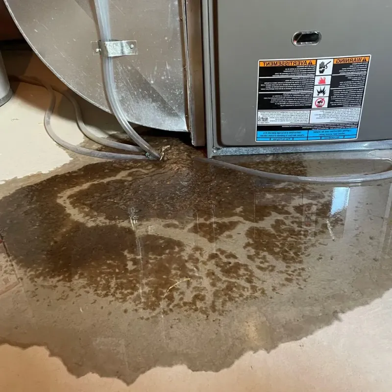 Pipe Burst and Leak Restoration in Clay County, WV